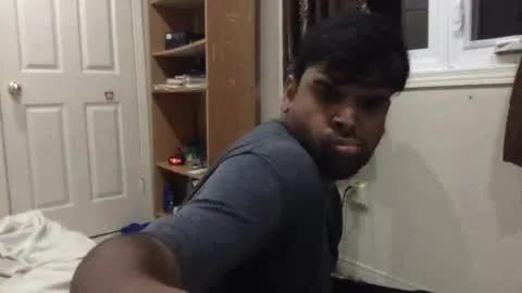 Photo of sundoog